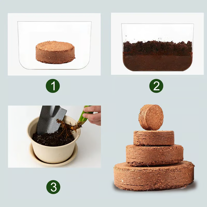 🔥 LAST DAY 49% OFF 🌱 Premium Organic Coconut Coir Bricks For Plants