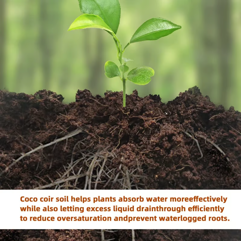 🔥 LAST DAY 49% OFF 🌱 Premium Organic Coconut Coir Bricks For Plants