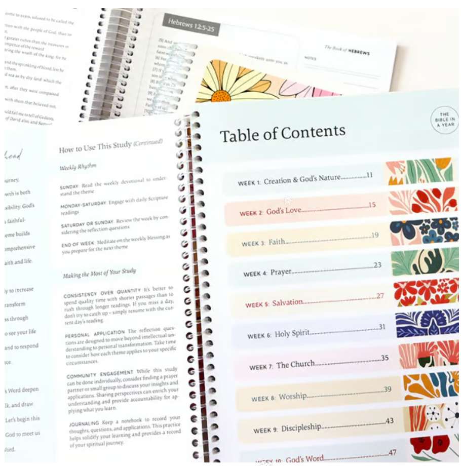 🔥LAST DAY 49% OFF -🙏🏼The Bible In A Year: A 52-Week Journey Through God's Word(✨Hardcover)