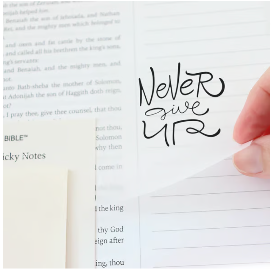 🔥LAST DAY 49% OFF -🙏🏼The Bible In A Year: A 52-Week Journey Through God's Word(✨Hardcover)