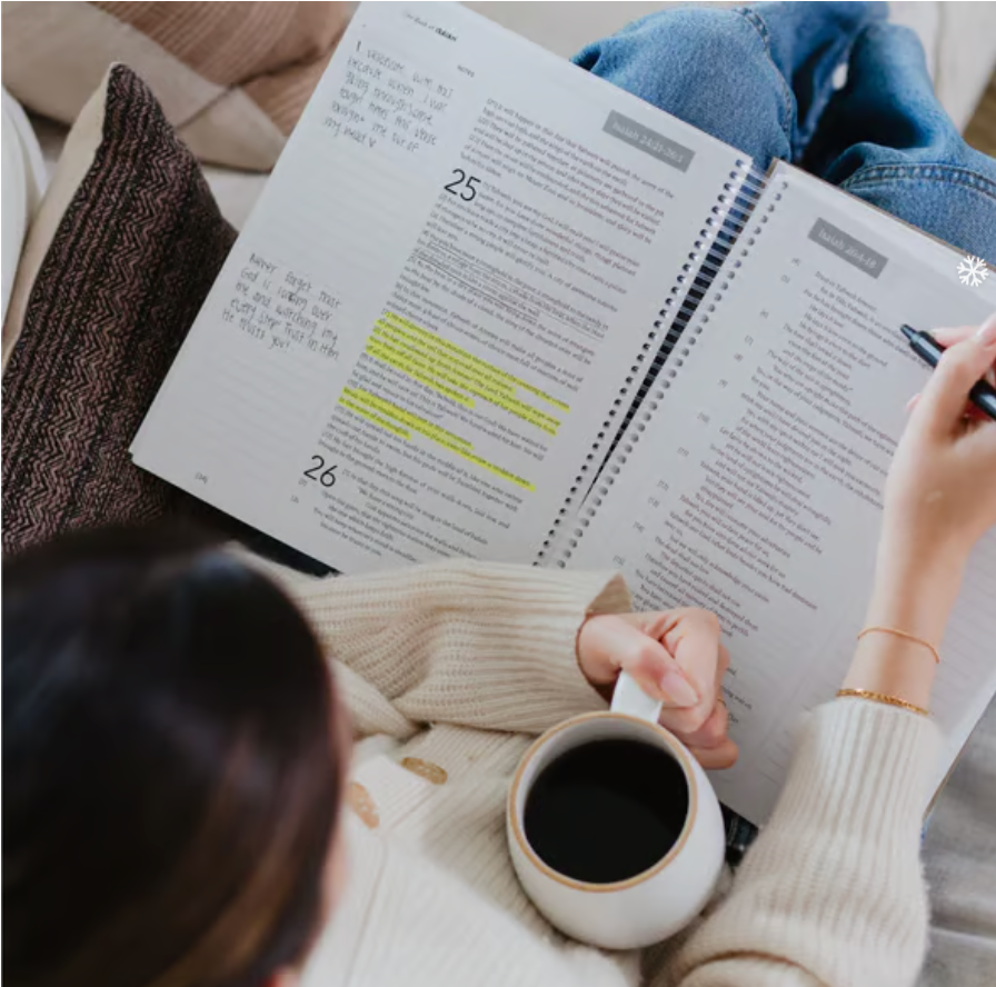 🔥LAST DAY 49% OFF -🙏🏼The Bible In A Year: A 52-Week Journey Through God's Word(✨Hardcover)