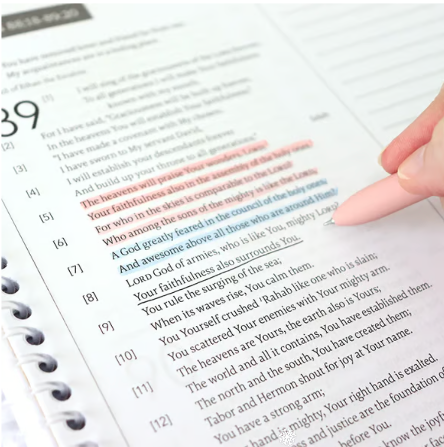 🔥LAST DAY 49% OFF -🙏🏼The Bible In A Year: A 52-Week Journey Through God's Word(✨Hardcover)